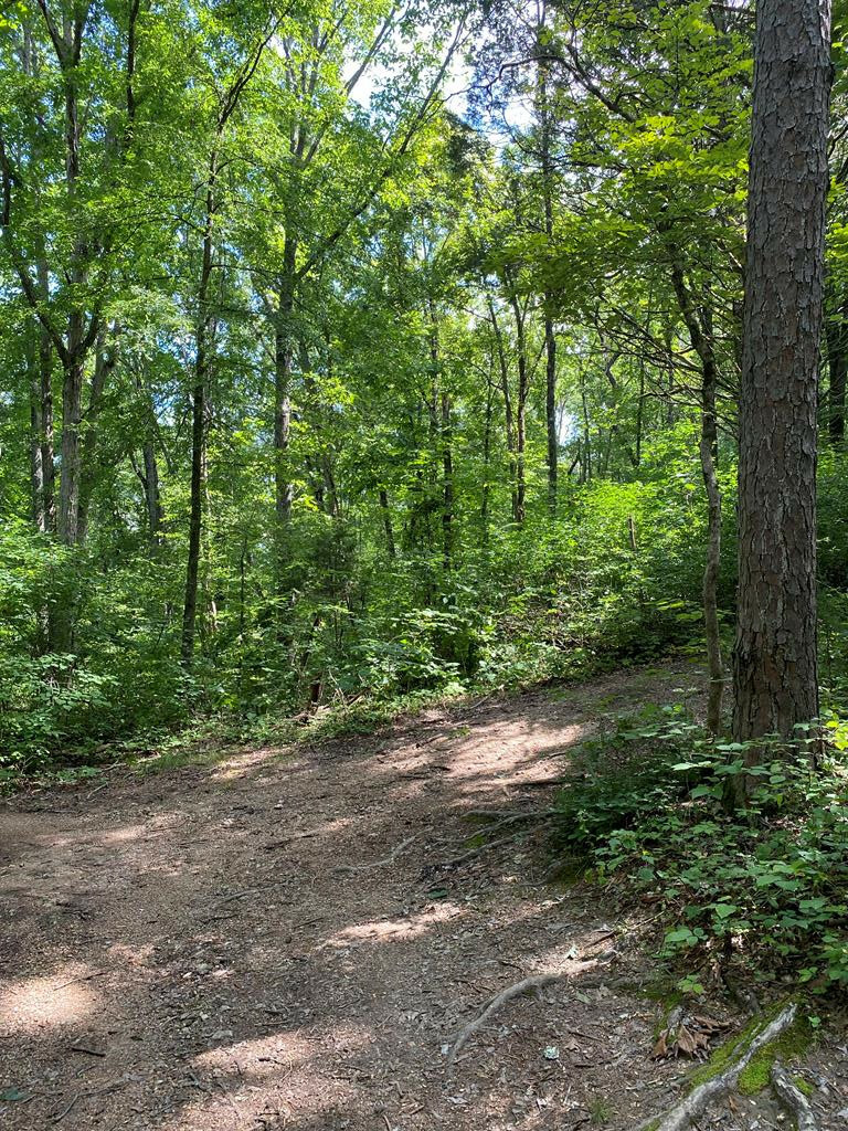 Property Photo:  582 County Road 181  TN 37322 