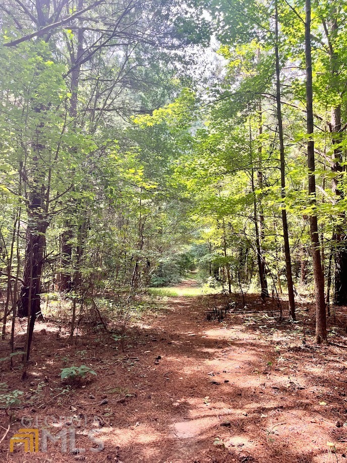 Property Photo: 0 Smith Avenue GA 30108