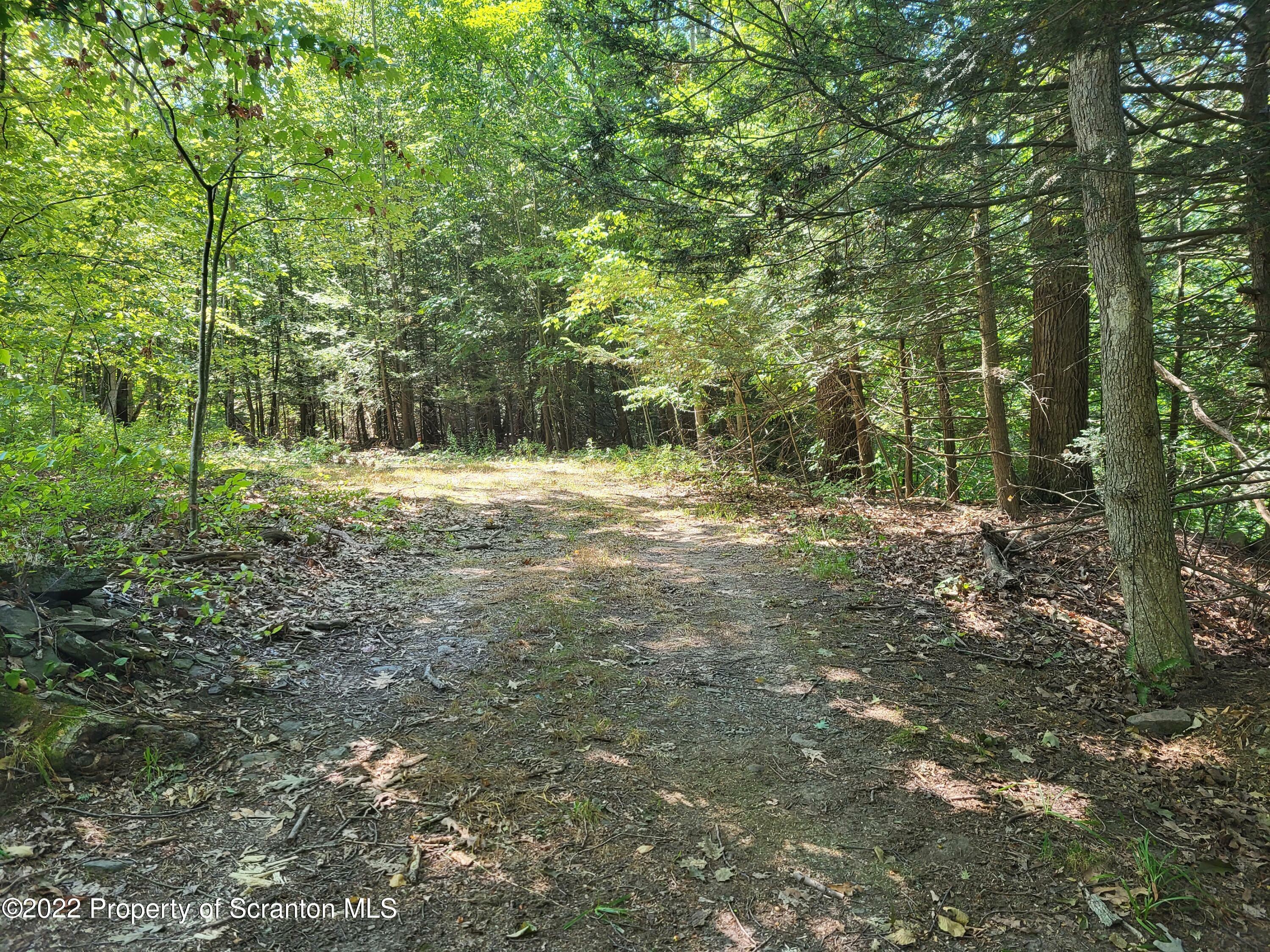 Property Photo:  0 Shadowbrook Drive  PA 18657 