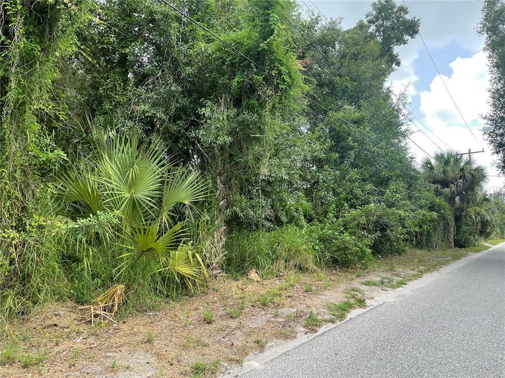 Property Photo:  S Monroe Avenue  FL 34266 