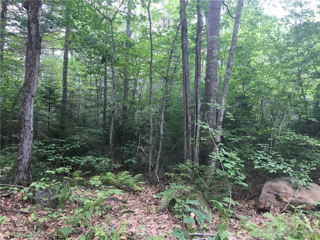 Property Photo:  00 N Cobbtown Road  ME 04849 