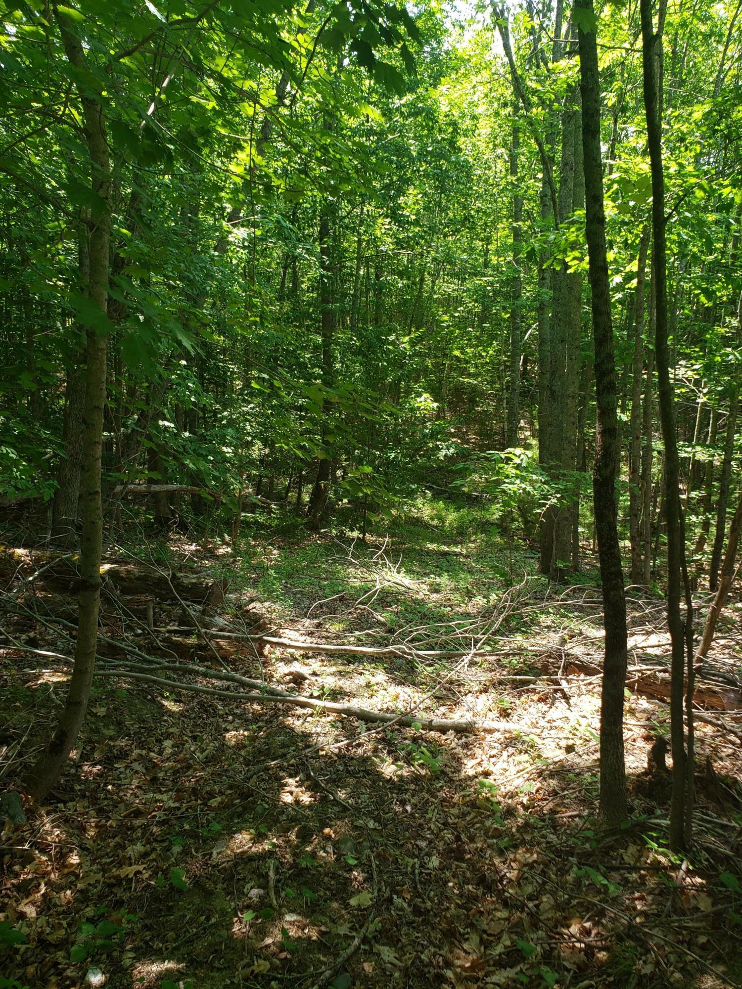 Property Photo:  0 Hoxie Hill Road  ME 04474 