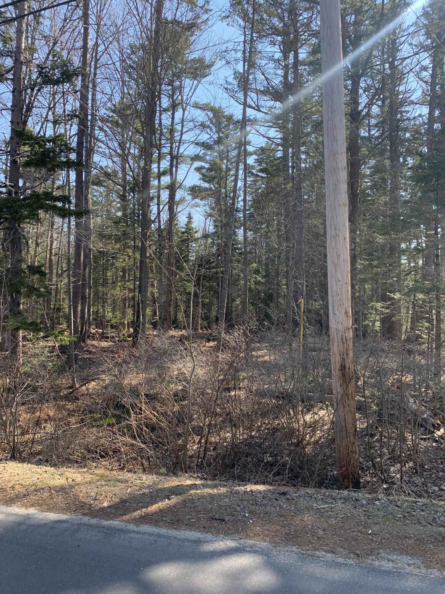 Property Photo: 0 High Head Road ME 04079