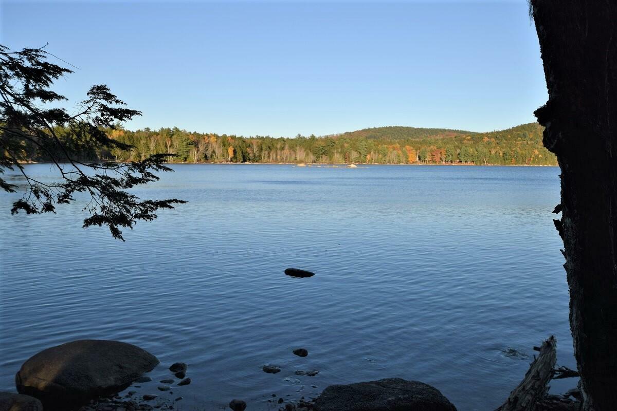 Property Photo:  Lot 12 Deer Run Road  ME 04487 