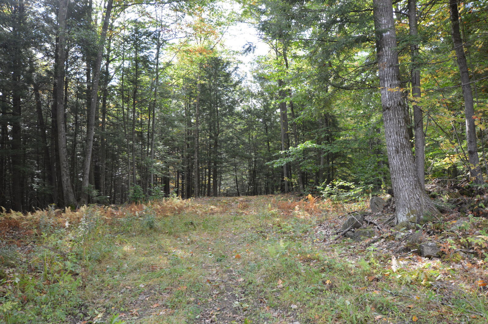 Property Photo:  0 Soper Road  ME 04364 