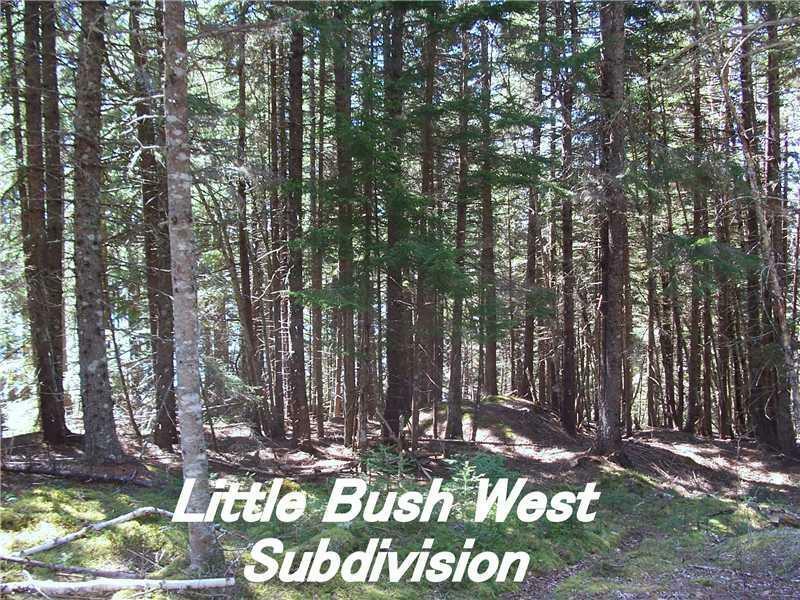 Property Photo:  Lot 6 US Rte 191 Little Bush West  ME 04630 