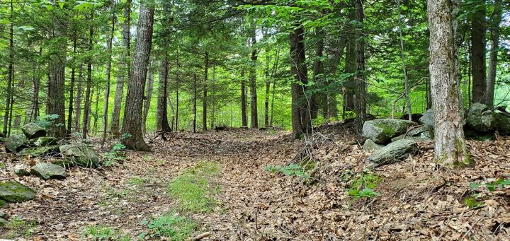 Property Photo: Snow Hill Road NH 03444