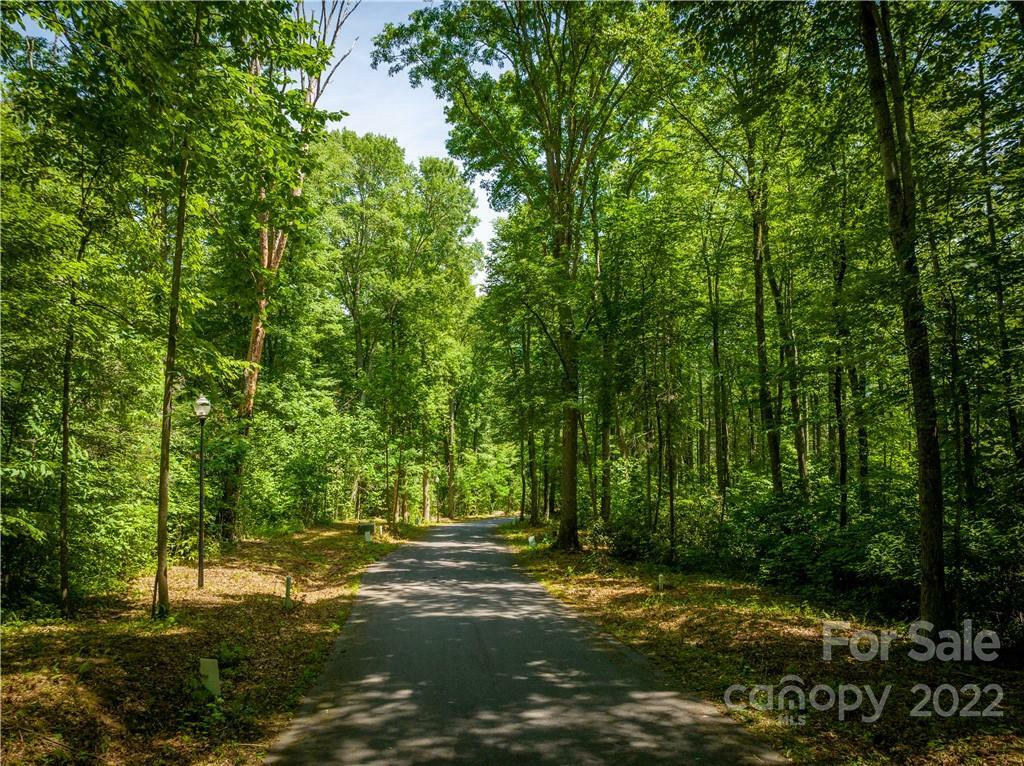 Property Photo:  Lot 62 Twinbrook Lane  NC 28751 