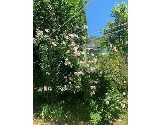 Property Photo:  19 Westborough  MA 01604 