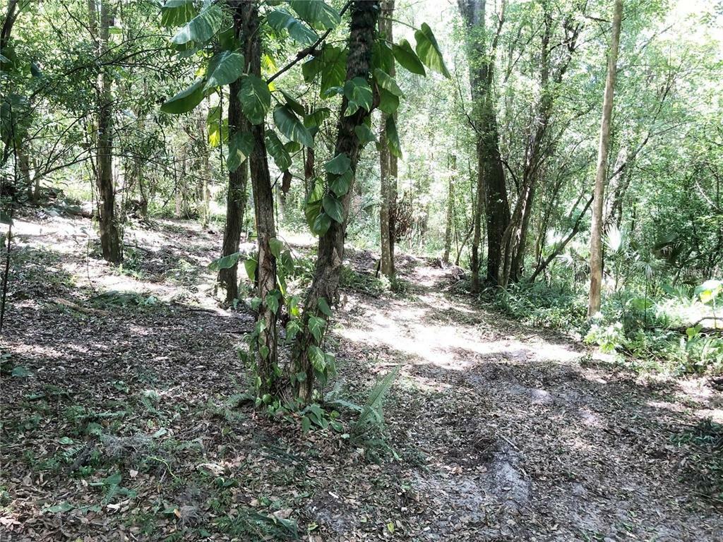 Property Photo:  410 Pinecrest Road  FL 32757 