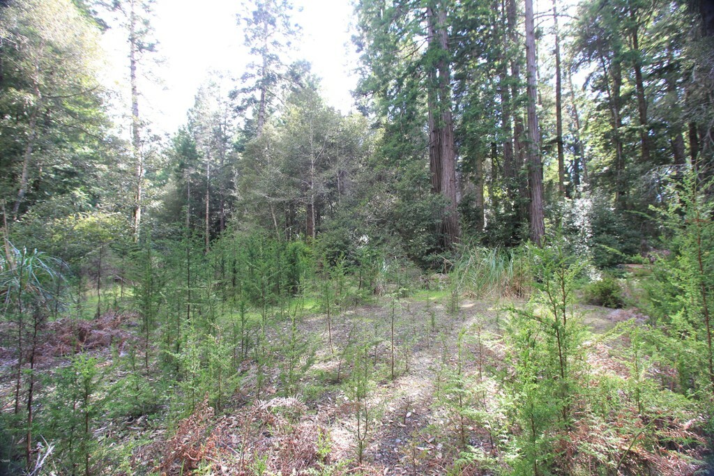 Property Photo:  31900 Airport Road  CA 95437 