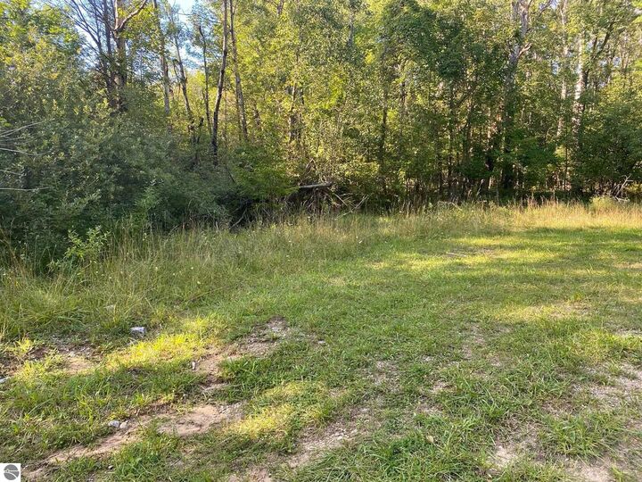 Property Photo:  Cowlitz Cove  MI 49631 