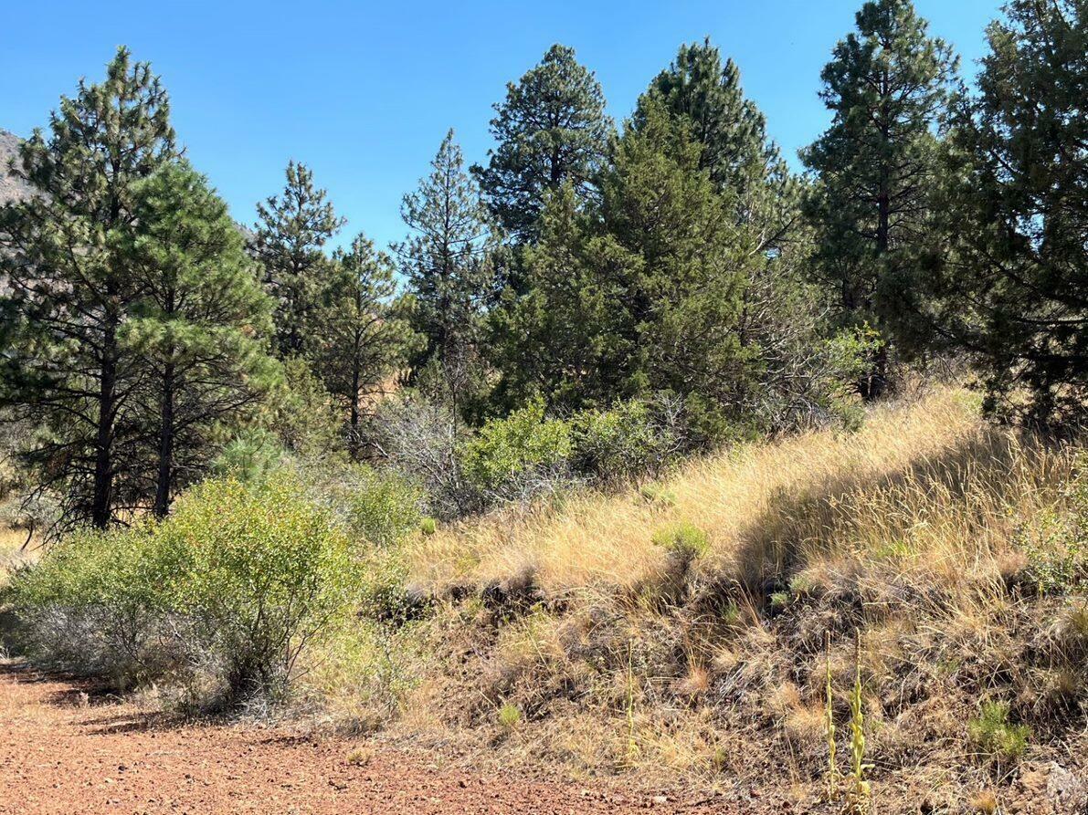 Property Photo:  Lot 51 Peregrine Heights  OR 97601 