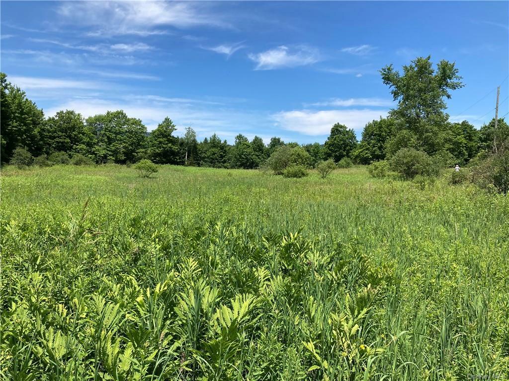 Property Photo:  Potter Mountain Road  NY 12076 