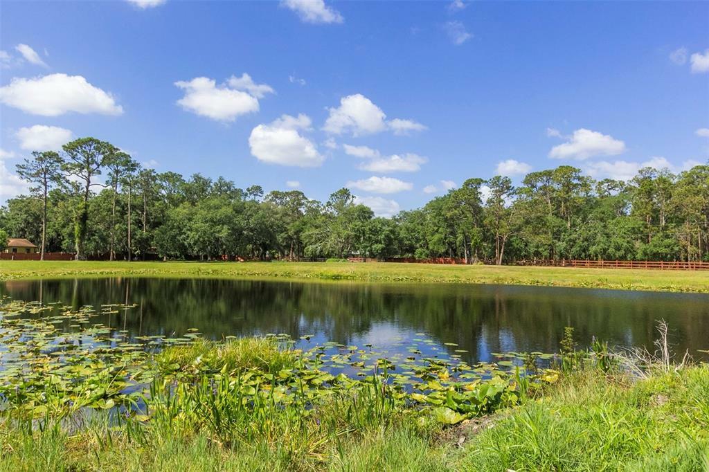 Property Photo:  Marjorie Road  FL 34772 