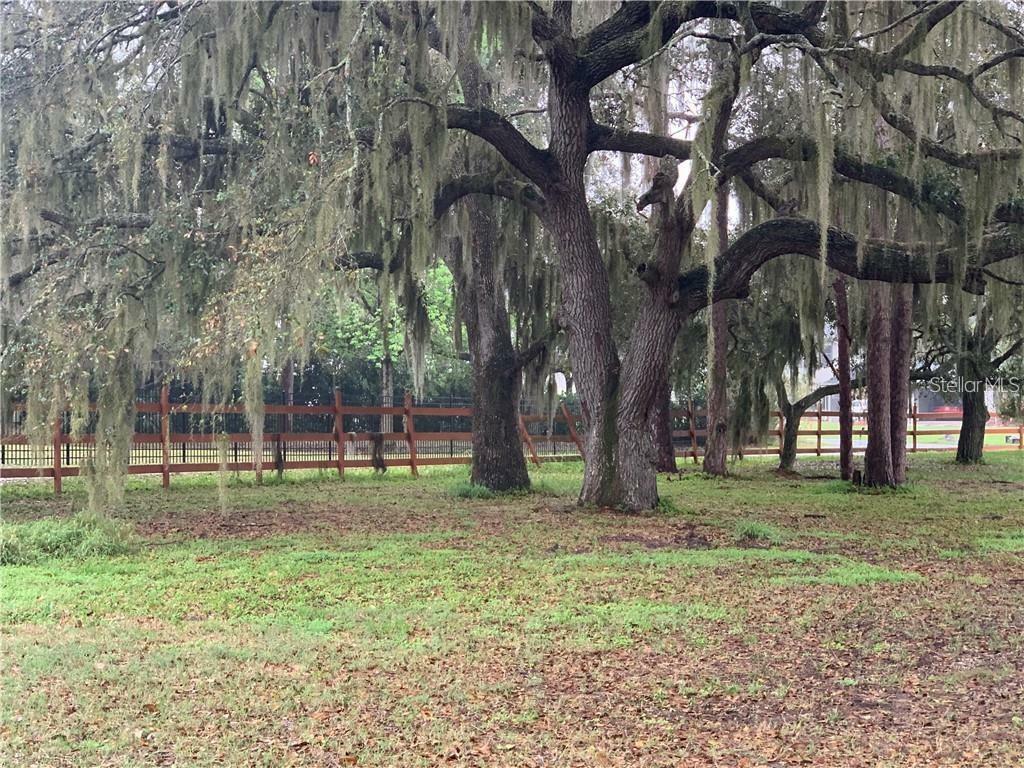 Property Photo: Marjorie Road FL 34772