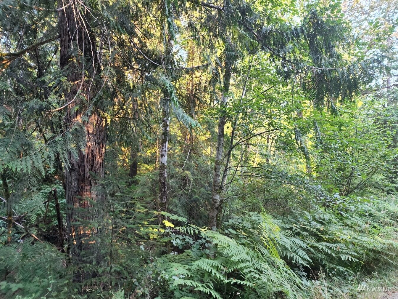 Property Photo:  0 South Island Drive  WA 98584 