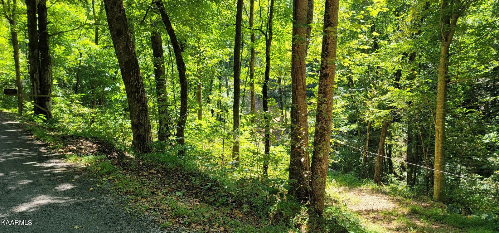 Property Photo:  235 County Road 60  TN 37303 