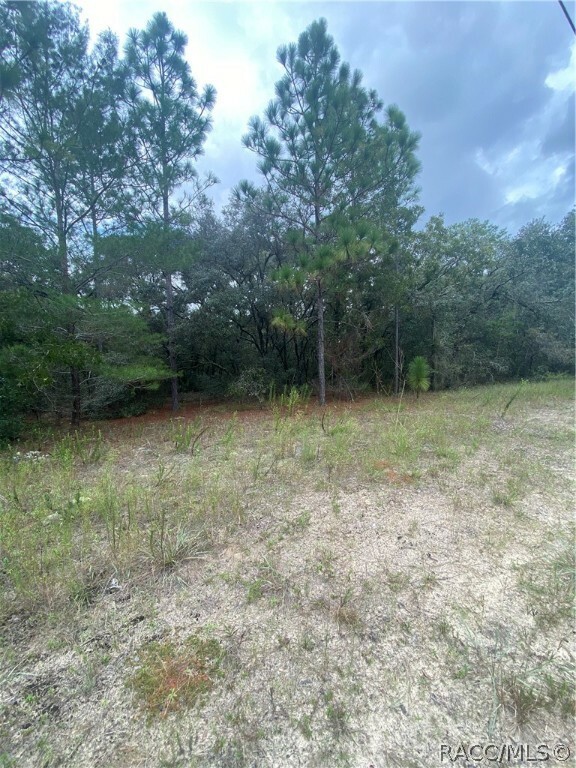 Property Photo:  4677 W Citrus Springs Boulevard  FL 34433 