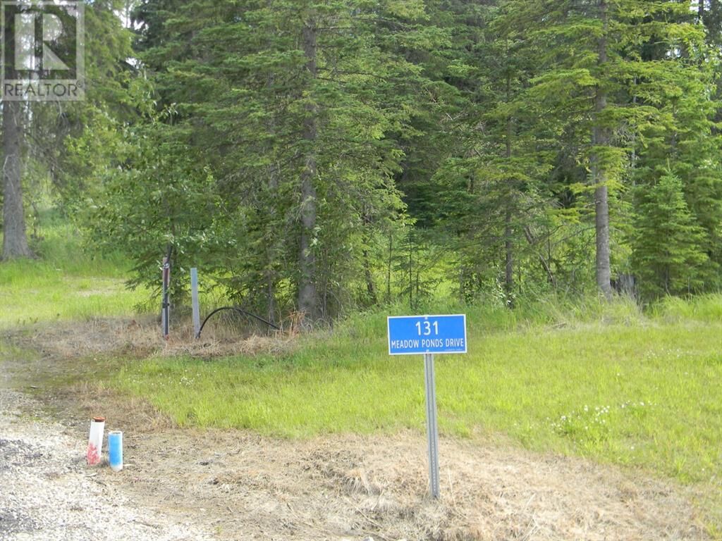 Property Photo:  131 Meadow Ponds Drive  AB T4T 2A2 