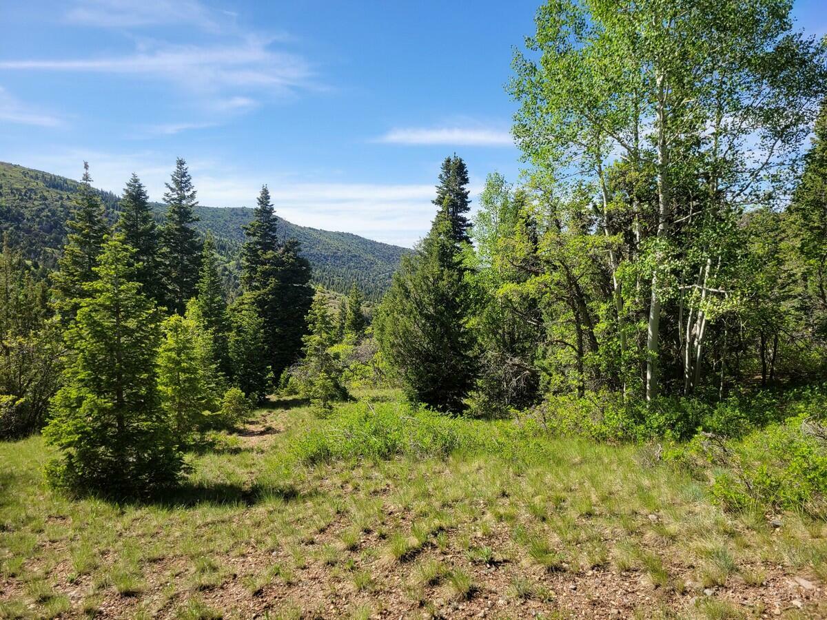 Property Photo:  Braffits Creek Lot 61&Amp62  UT 84719 