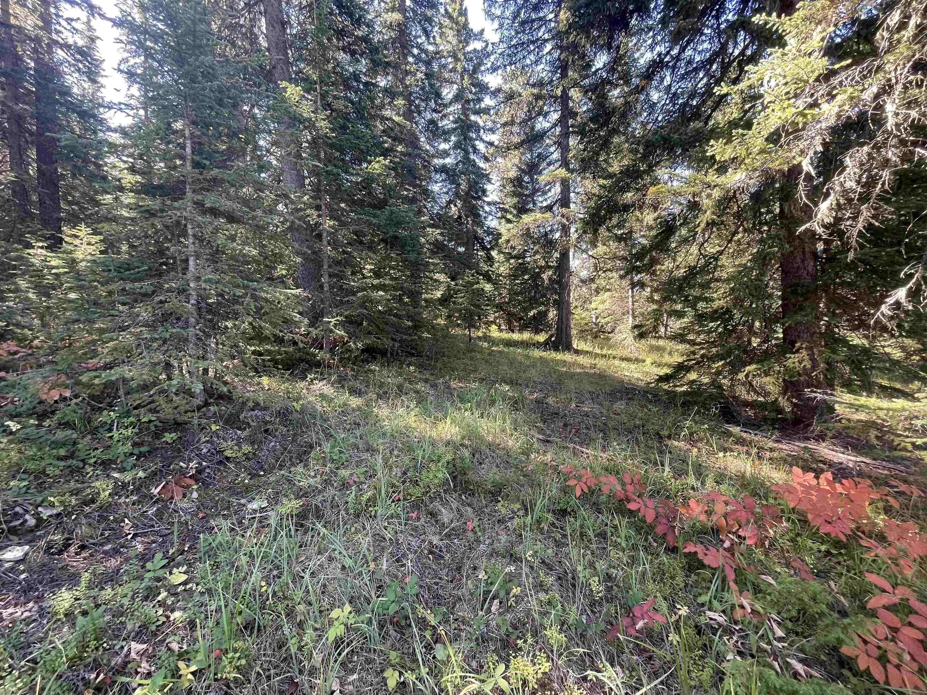 Property Photo:  Lot 35 Woodland Springs Road  SD 57754 