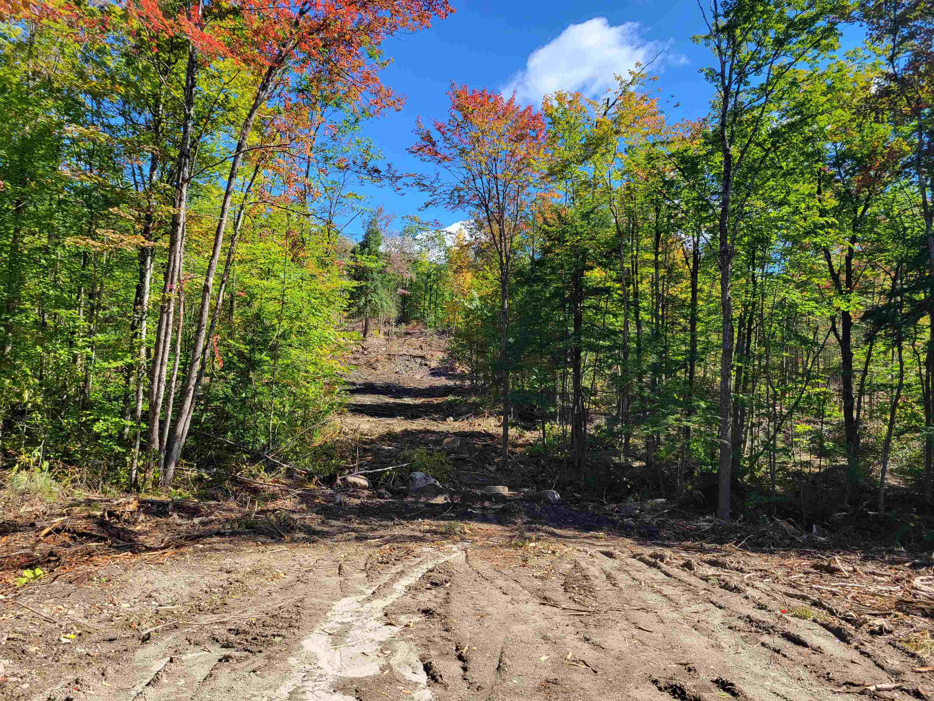 Property Photo: 7-427 Gifford Hill Road NH 03240