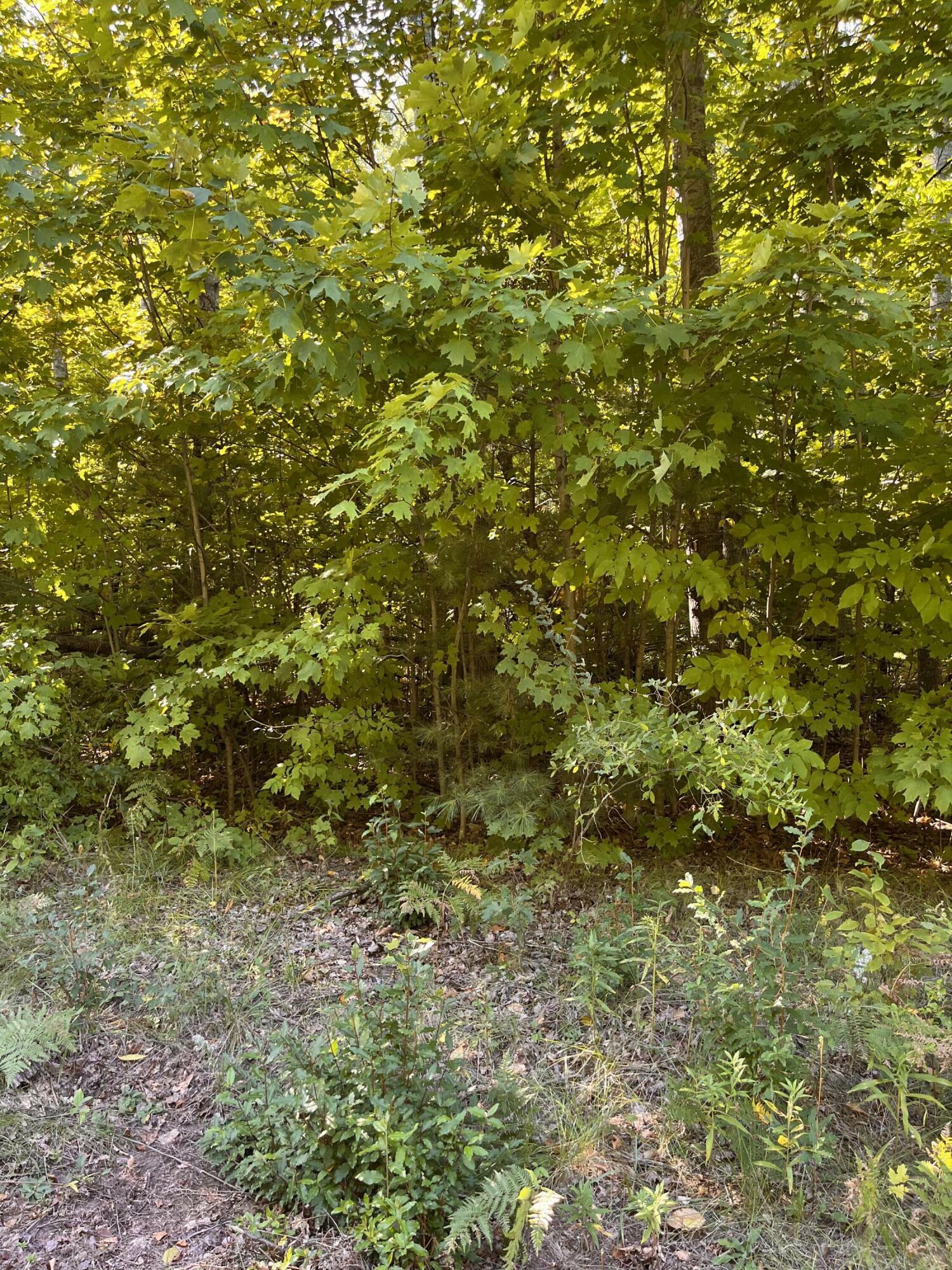 Property Photo:  Deerfield Drive Lot 2  MI 49738 