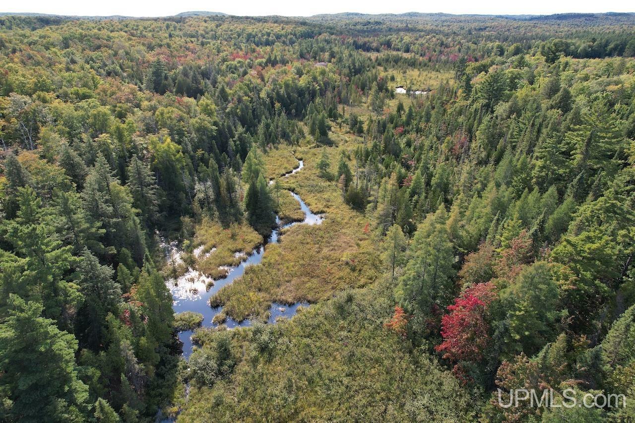 Property Photo:  651 Holyoke Trail  MI 49855 