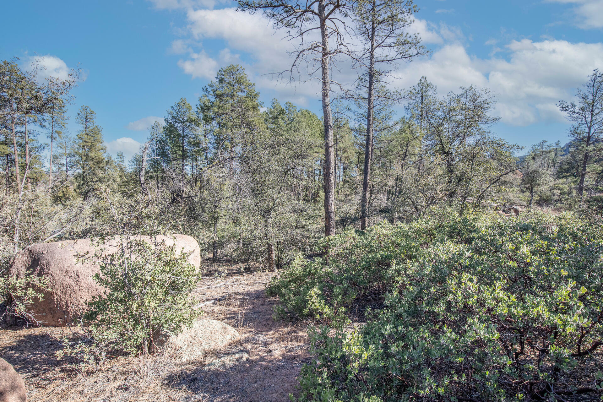 1304 S Bent Tree Circle  Payson AZ 85541 photo