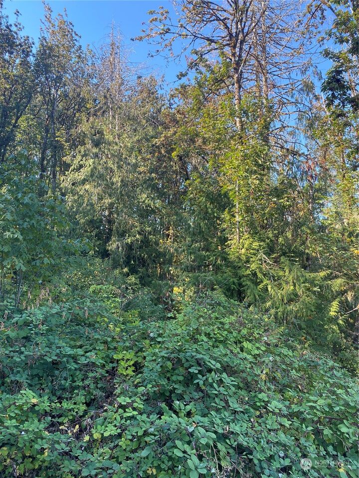 Property Photo:  0 Nevada Ave & Michigan St  WA 98366 