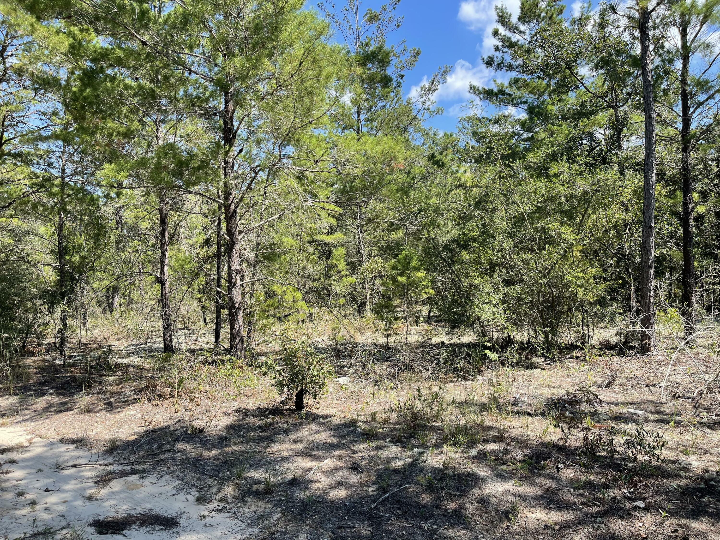 Property Photo:  Lot 8 White Spruce Lane Oakwood Hills Ii Blk 17  FL 32433 