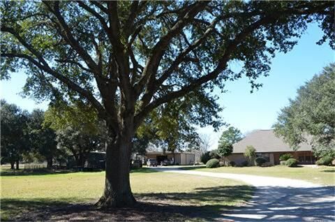 Property Photo:  319 Wallace Road  TX 77560 
