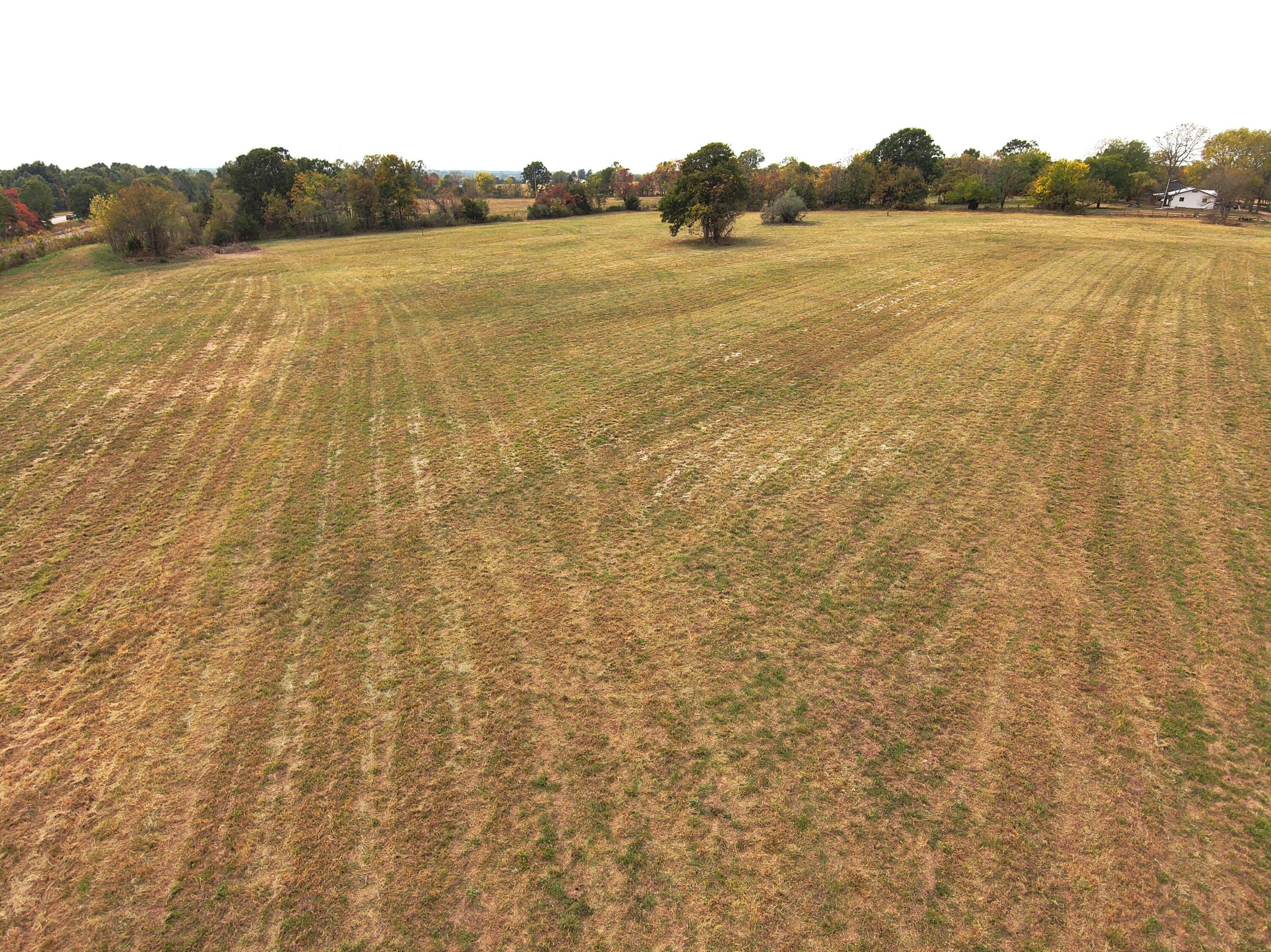 Property Photo: Tract 1 Highway 60 MO 65610