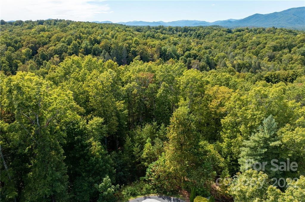 Property Photo: 0 Bald Eagle Lane NC 28752