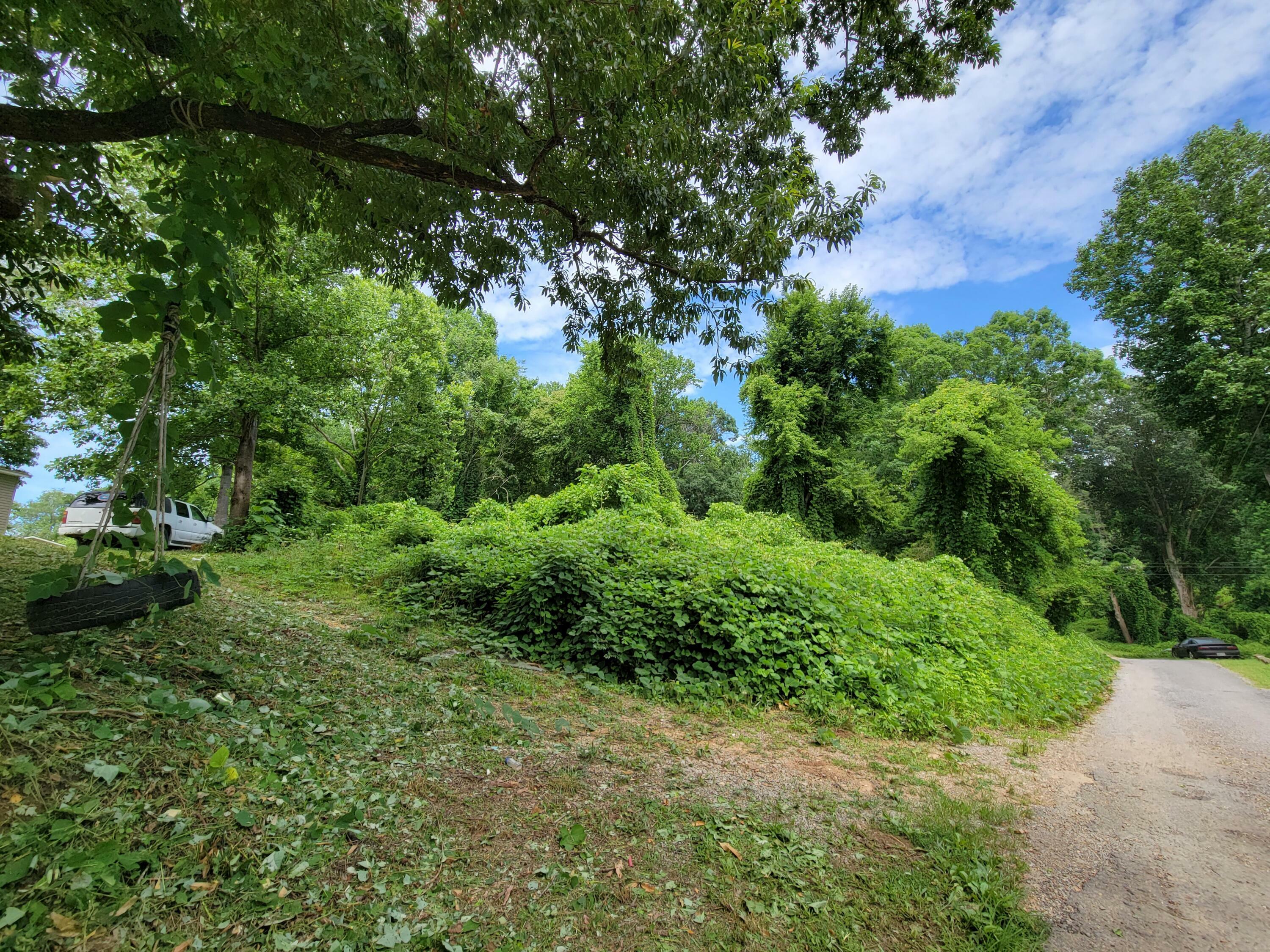 325 Oak Street  Spring City TN 37381 photo