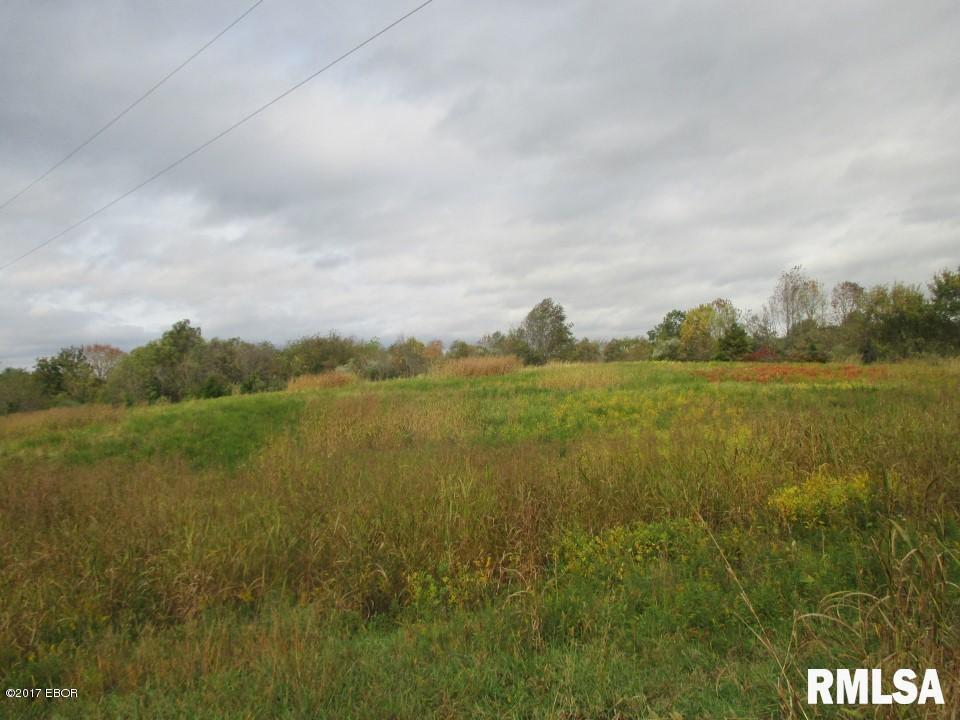 Property Photo: 90 Pine Tree Lane IL 62920