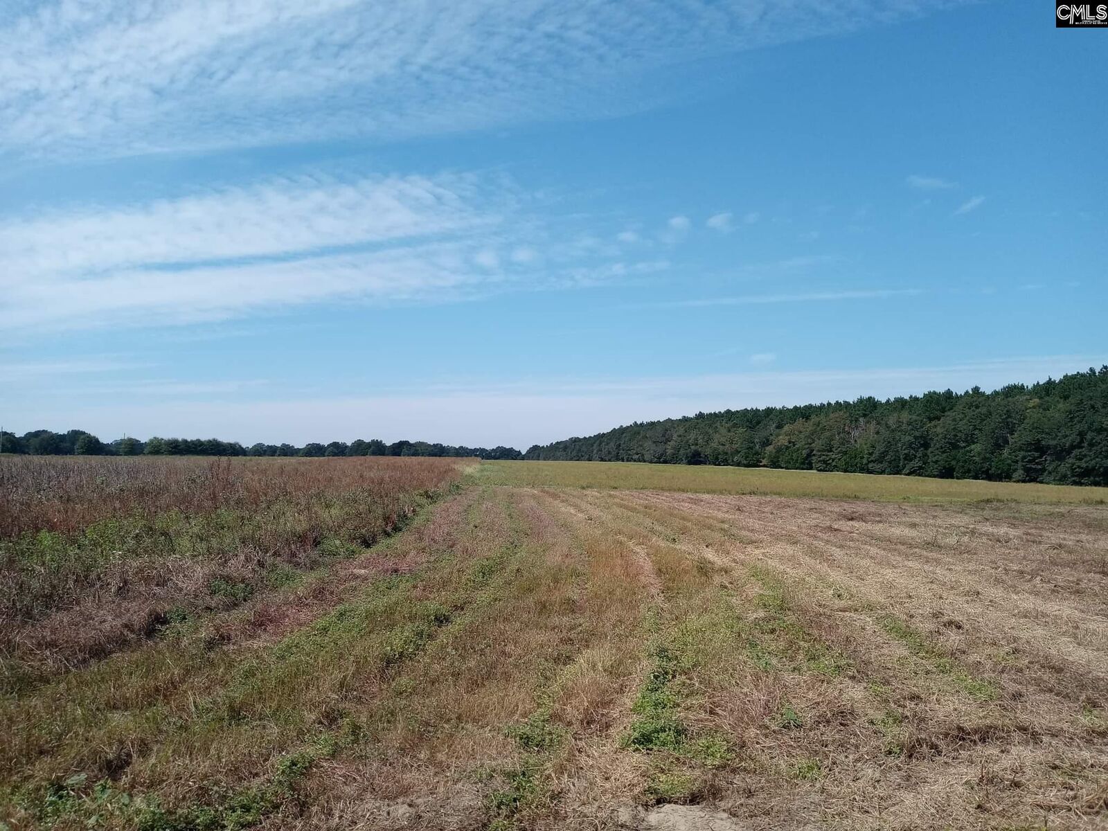 Property Photo:  212 Trump  SC 29107 