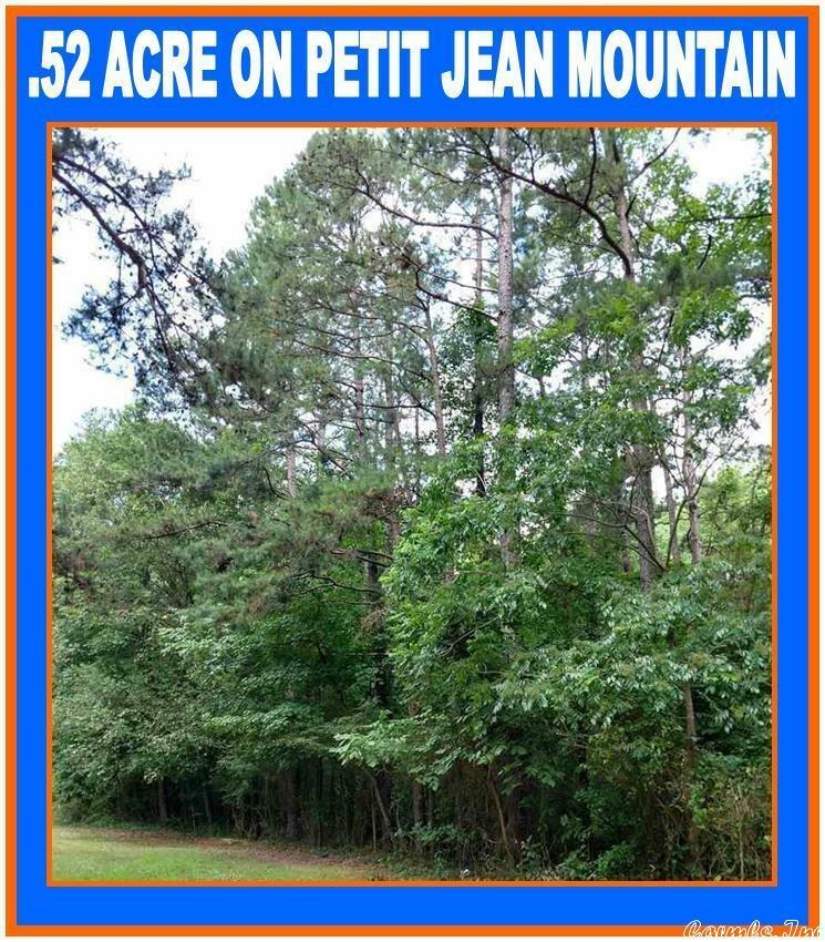 Lot 18 Stephens Road  Morrilton AR 72110 photo