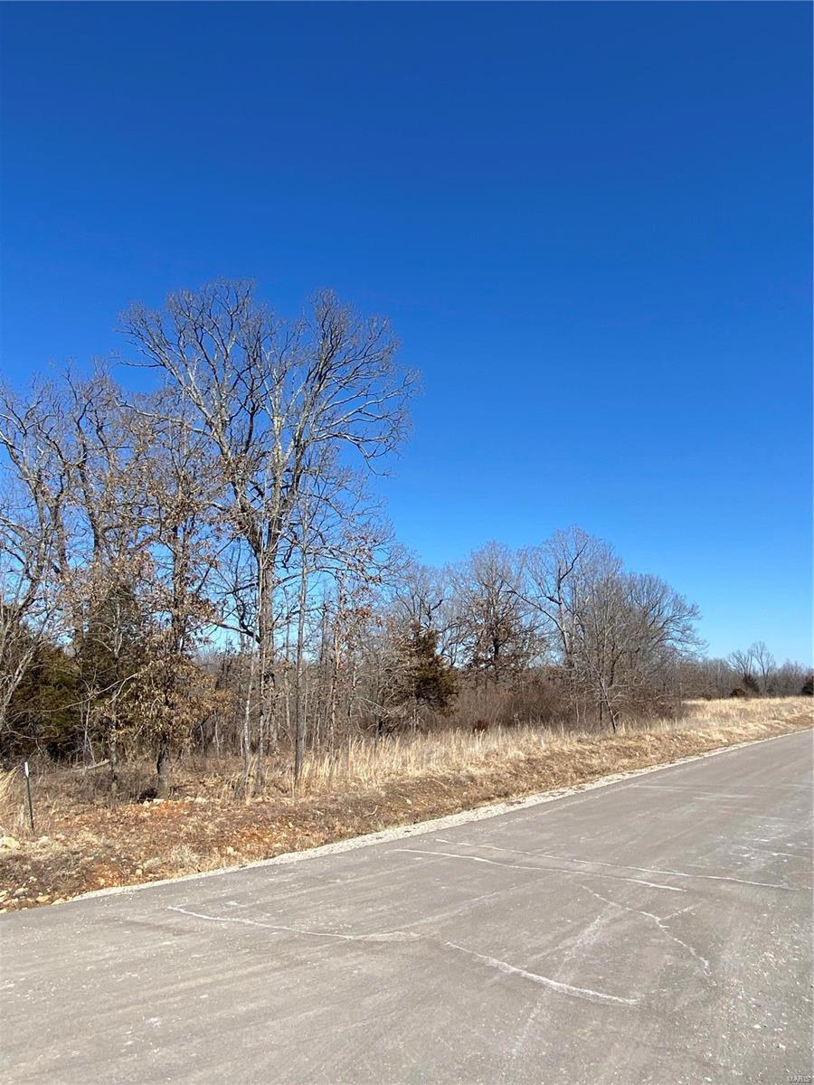 Property Photo: 0 Lot 11 Promise Drive MO 65536