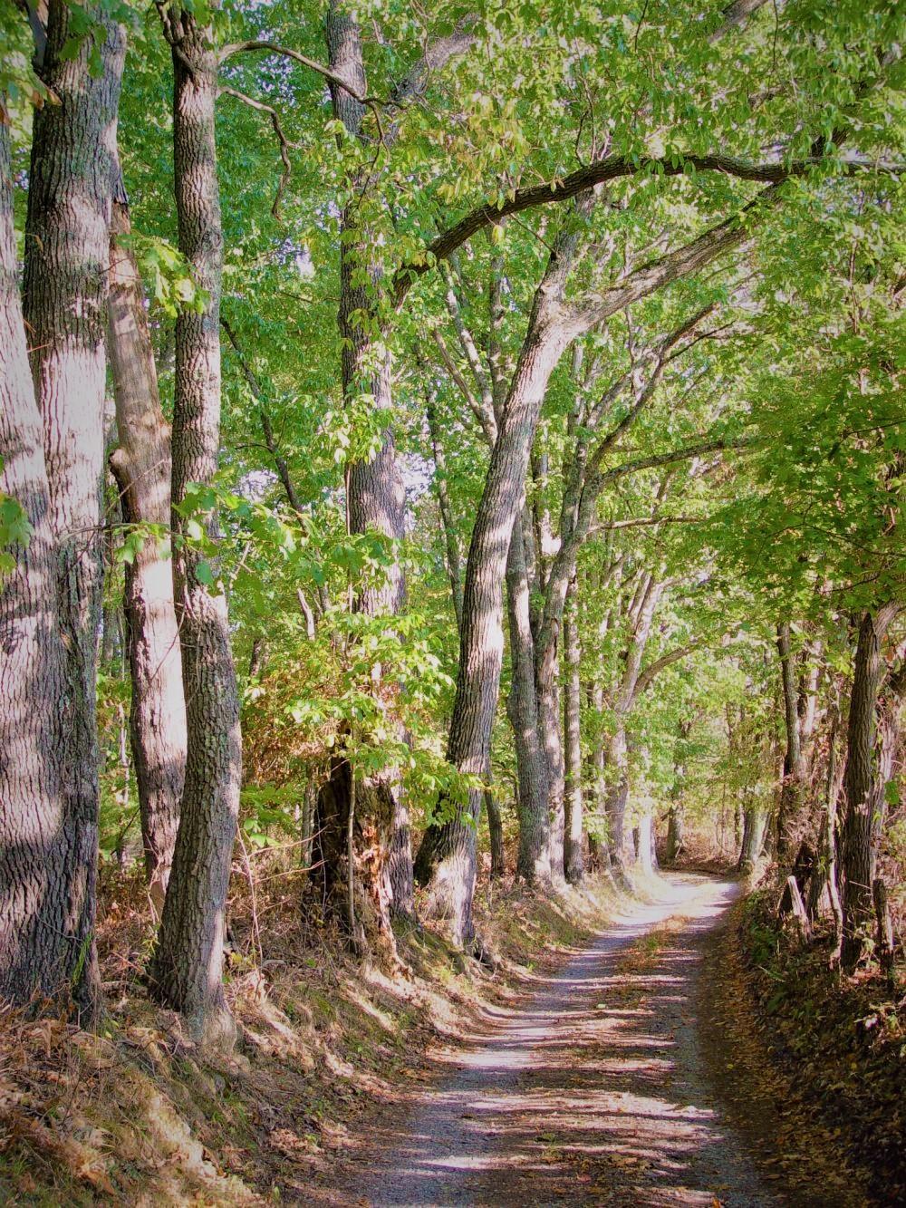 Property Photo:  1102 Gerow Lane  WV 25979 