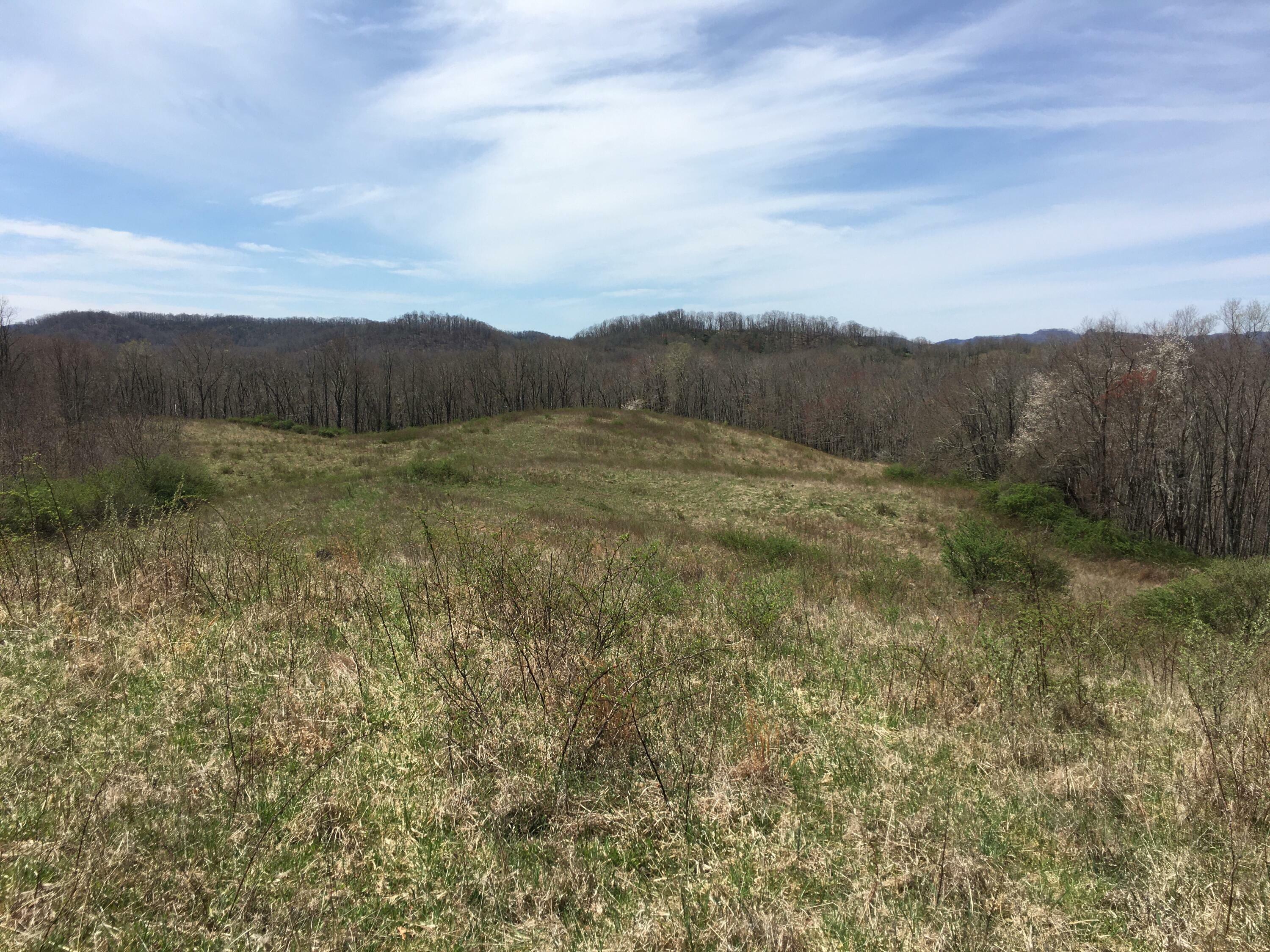 Property Photo:  Kitchen Creek Rd  WV 24977 