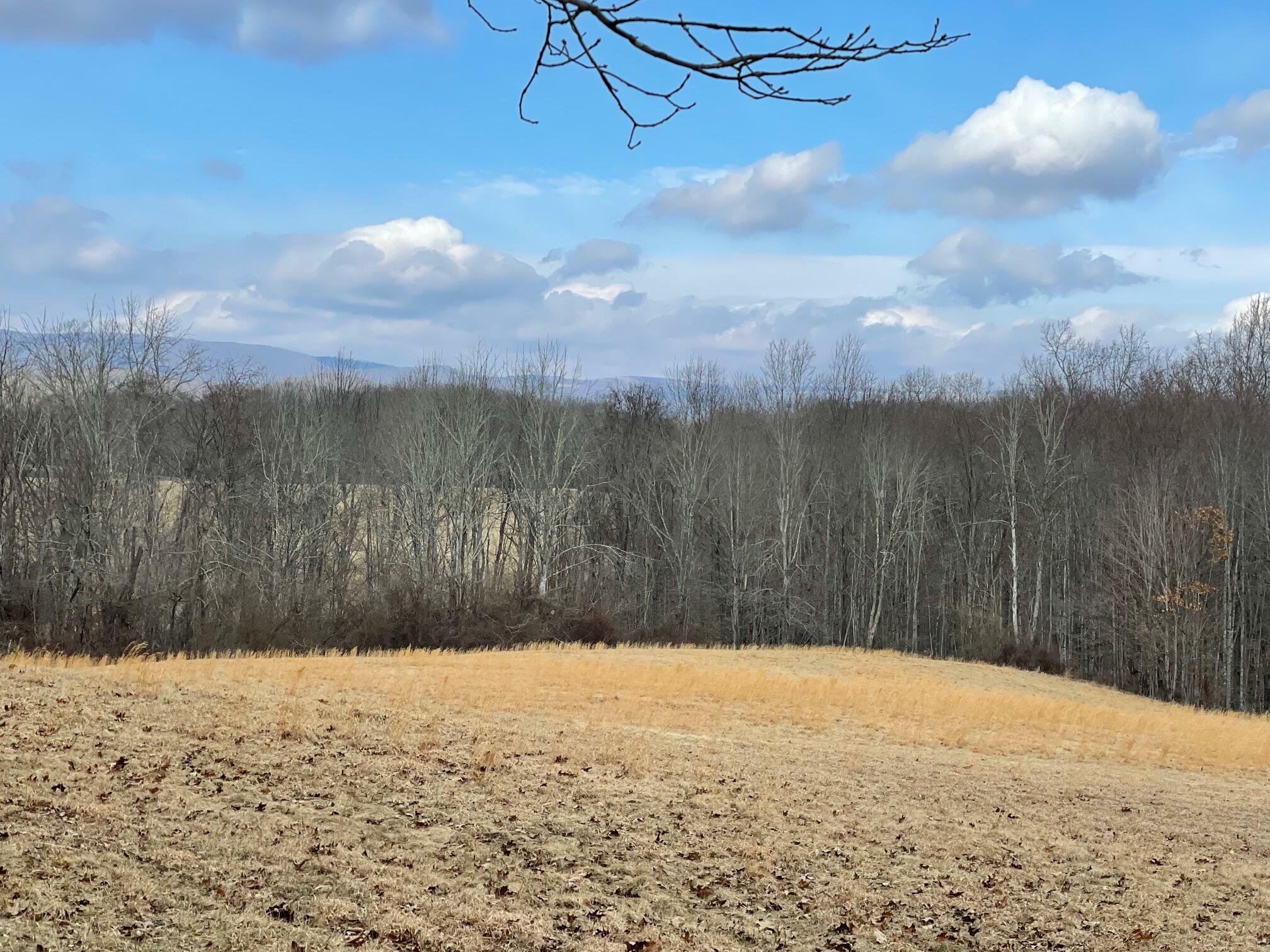 Property Photo:  Chestnut Flats Road  WV 24901 