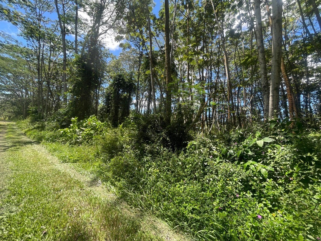 Property Photo:  Plumeria Rd  HI 96778 