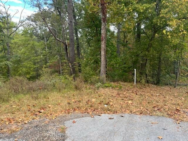 Property Photo:  Lot 7, Block 1 Sherington Lane  AR 72714 