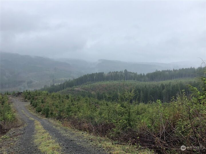 Property Photo:  0  Keyser Road  WA 98612 