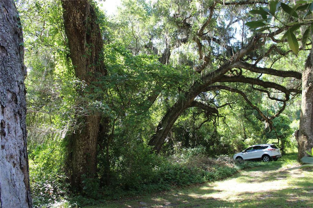 Property Photo: 6306 SW 137th Avenue FL 32618