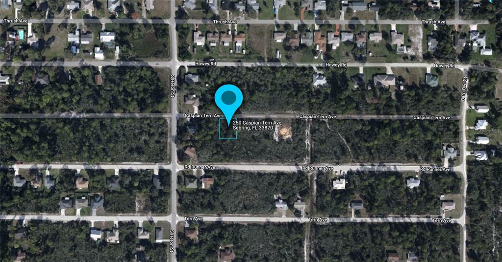 Property Photo:  250 Caspian Tern Avenue  FL 33870 