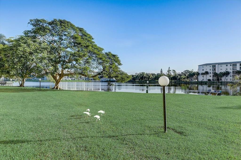 Property Photo: 4027 Lake Bayshore Drive C-114 FL 34205