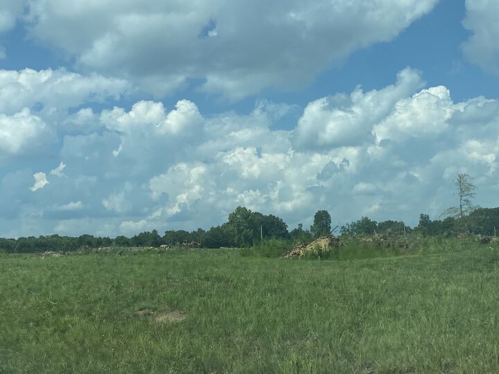 Property Photo: 0 Rigling Road TN 38469